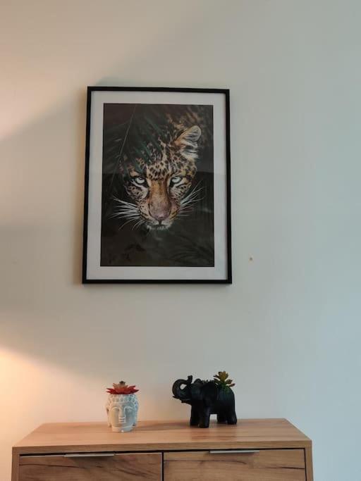 La Jungle Urbaine Avec Garage Prive & Climatisation Lejlighed Perpignan Eksteriør billede