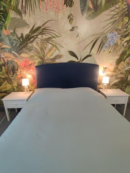 La Jungle Urbaine Avec Garage Prive & Climatisation Lejlighed Perpignan Eksteriør billede