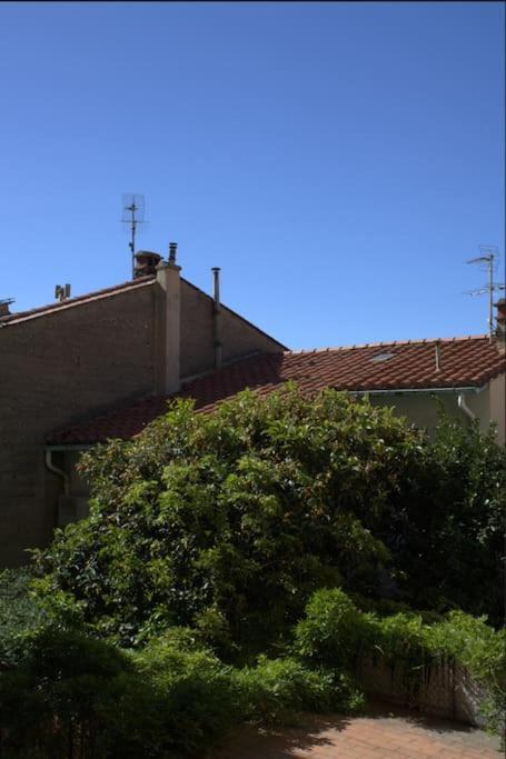 La Jungle Urbaine Avec Garage Prive & Climatisation Lejlighed Perpignan Eksteriør billede